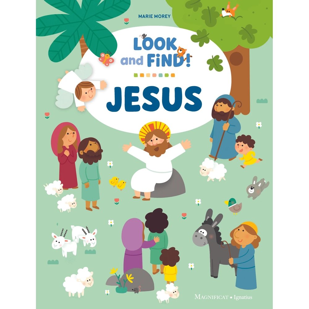 Jesus: Look and Find