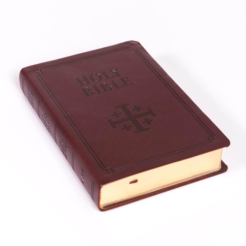 Douay Rheims Bible - Burgundy Cover