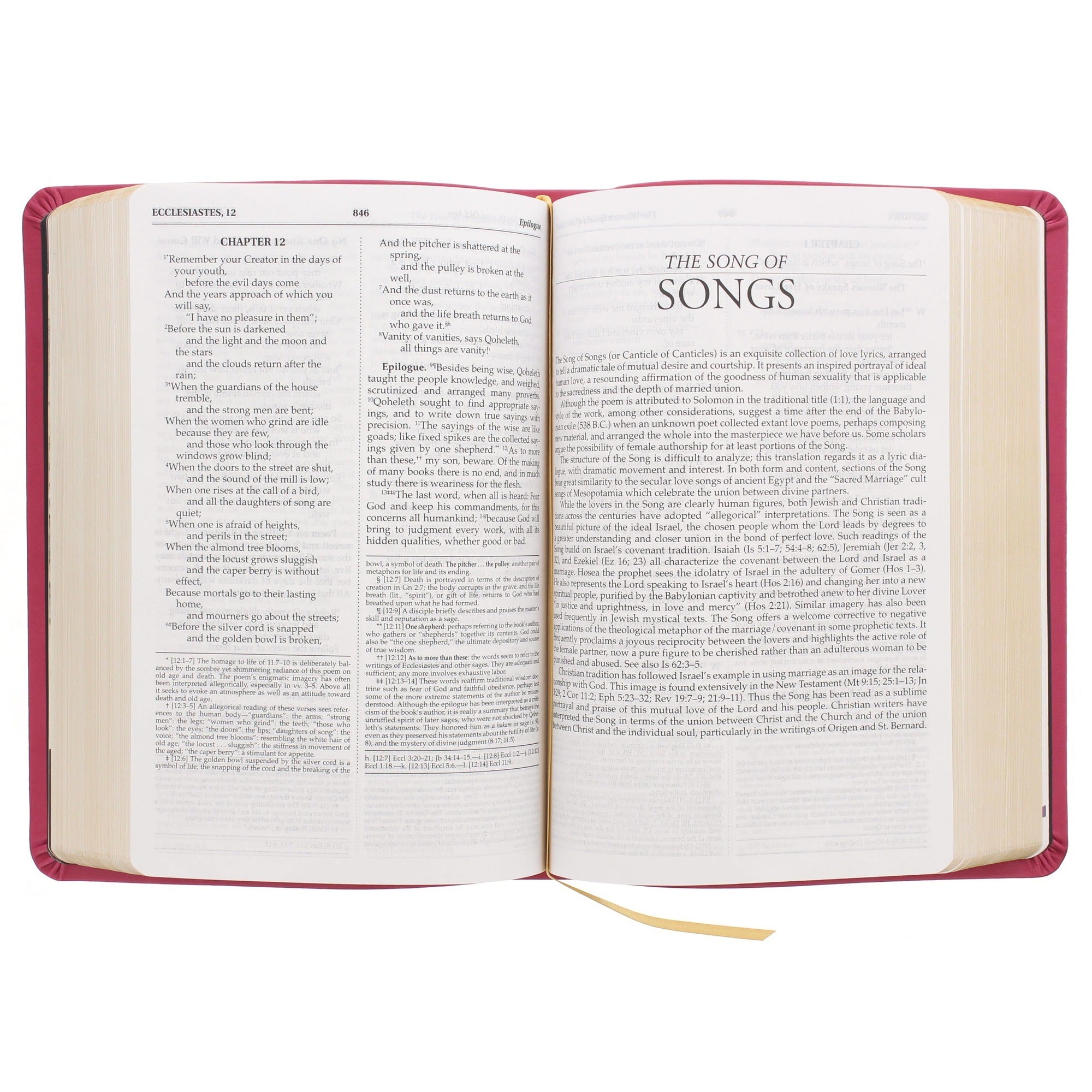 Open Bible showing two pages with a magenta hardcover, gold ribbon, and black text printed on cream paper.