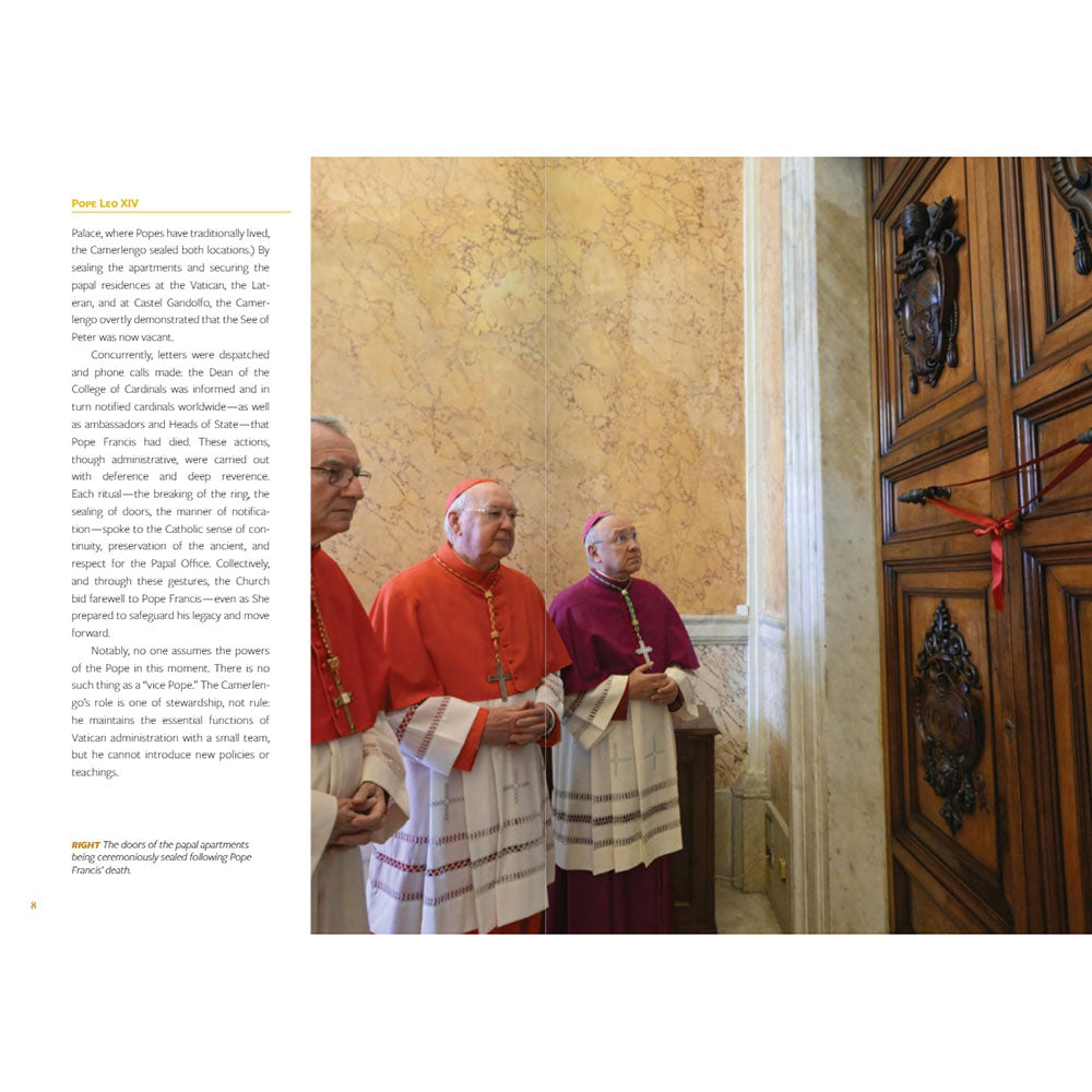 Pope Leo XIV: The Election of a Pope in Pictures