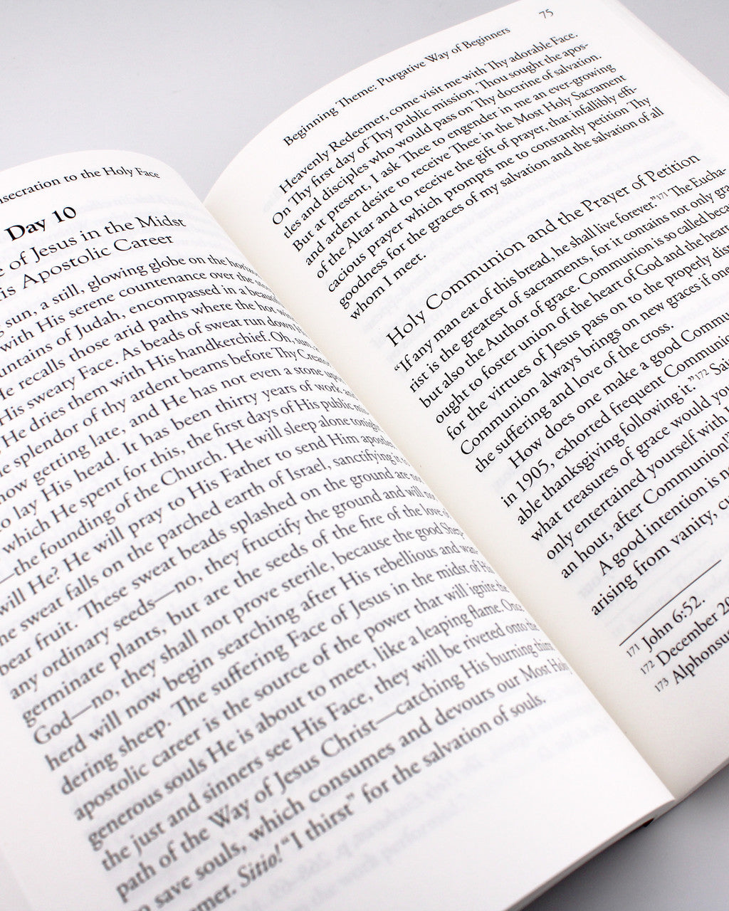 Preparation for Total Consecration to the Holy Face of Jesus