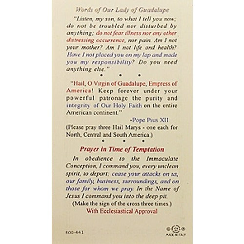 Words of Our Lady of Guadalupe - Prayer Card