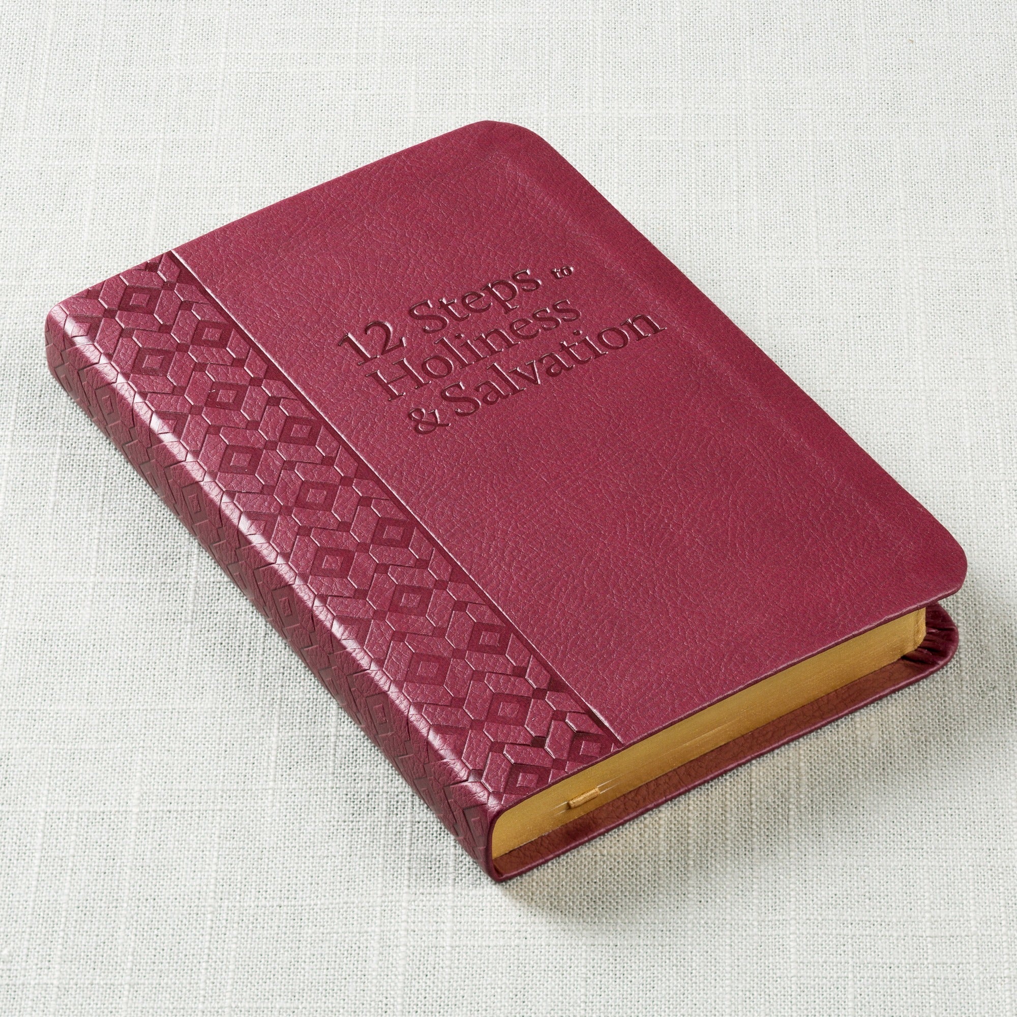 12 Steps to Holiness and Salvation