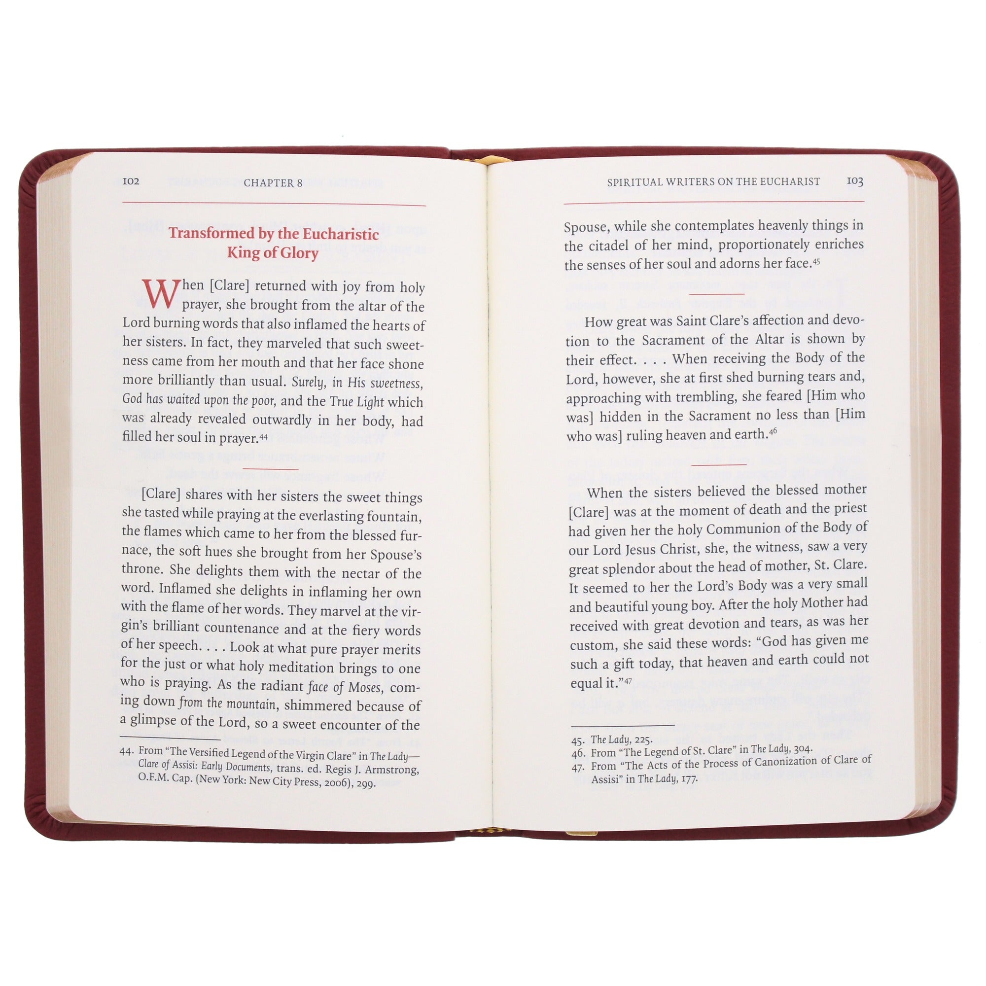 Gray Glass Blessed Sacrament Chaplet & Manual for Eucharistic Adoration (Gift Set)