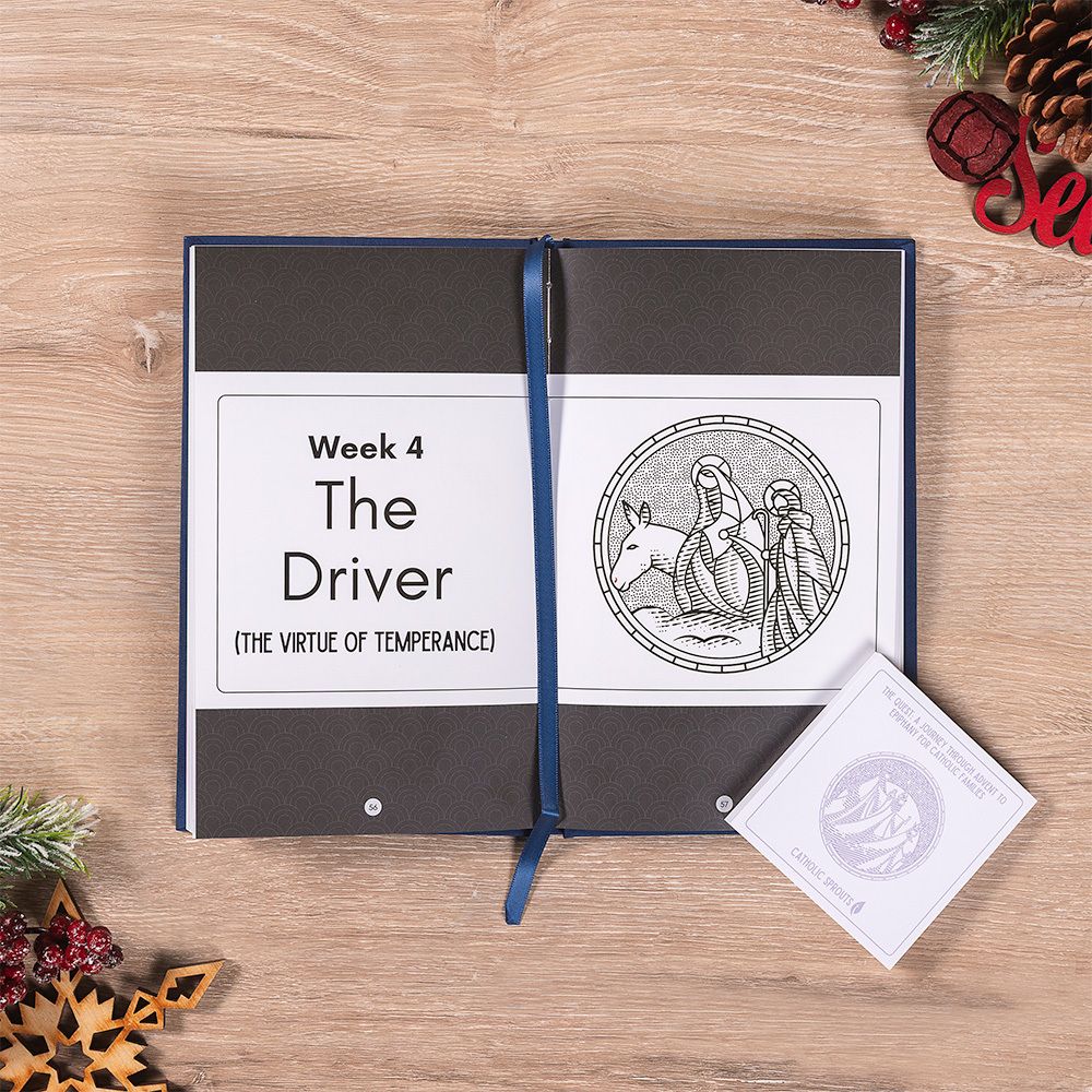 Advent to Christmas Devotional & Coloring Book Family Gift Set