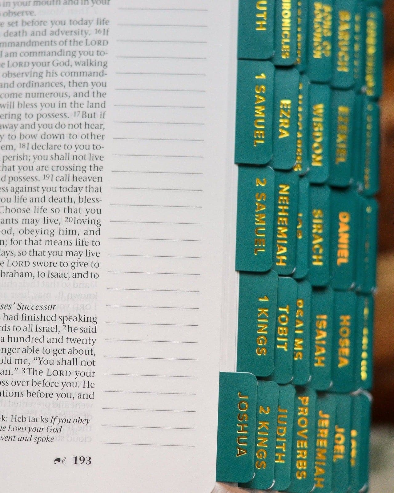 Emerald and Gold Catholic Bible Tabs