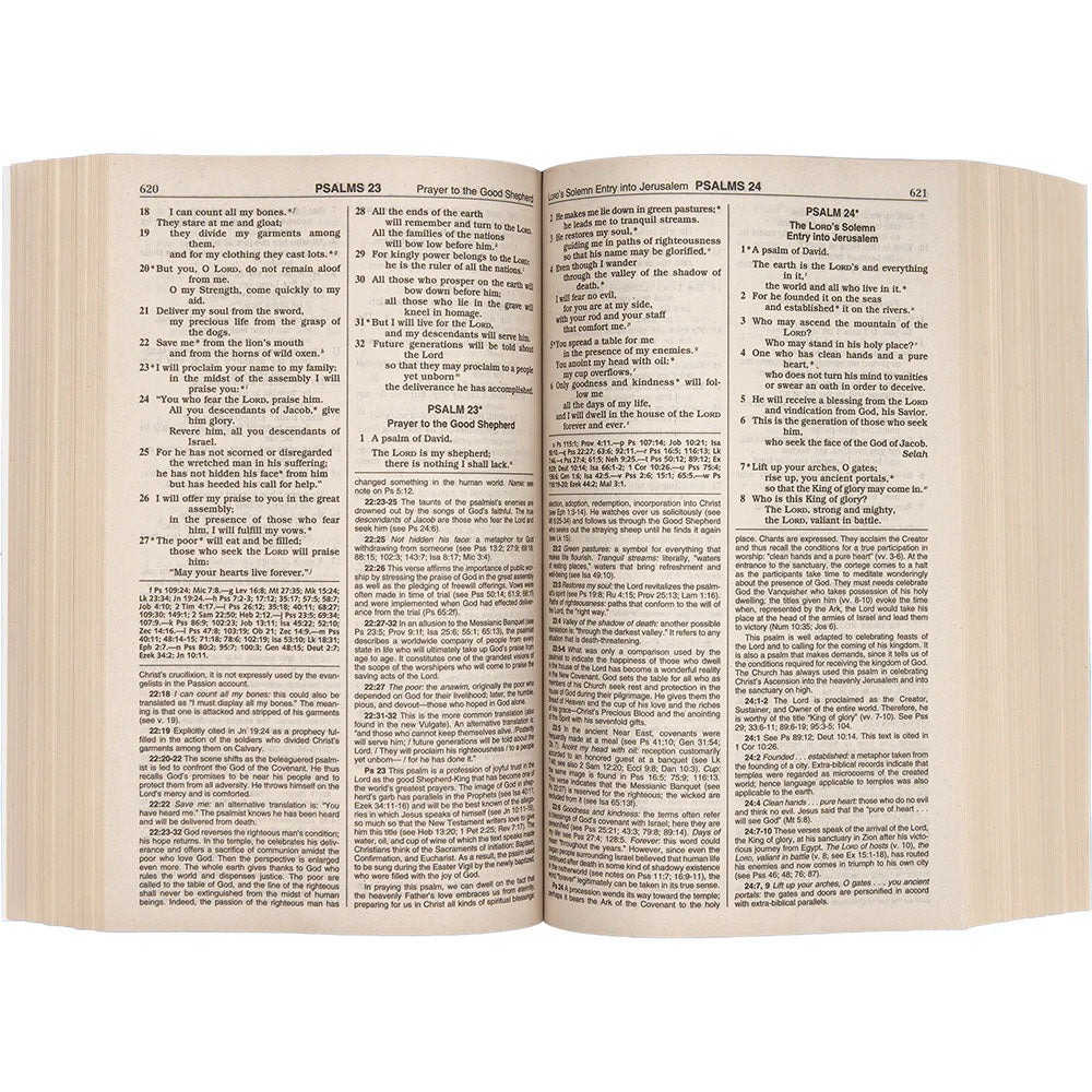 NCB Bible Student Edition