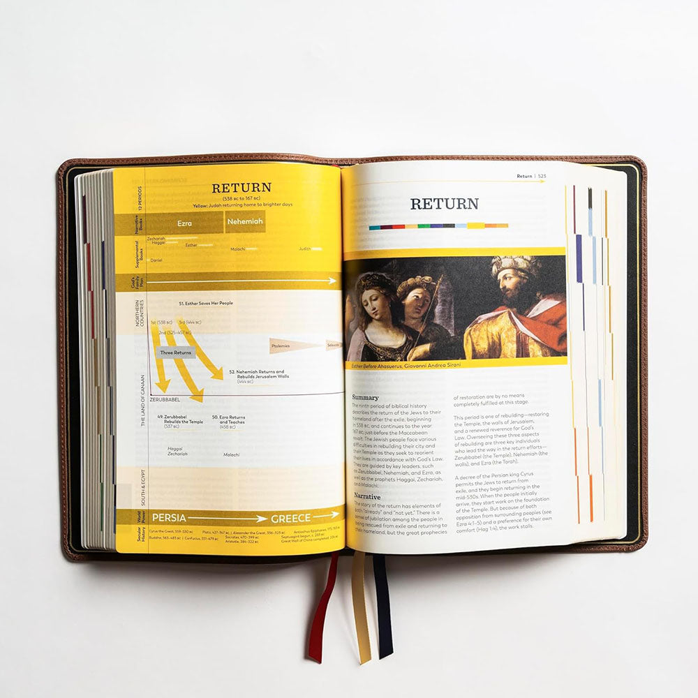 The Great Adventure Bible - Premium Leather Edition | The Catholic
