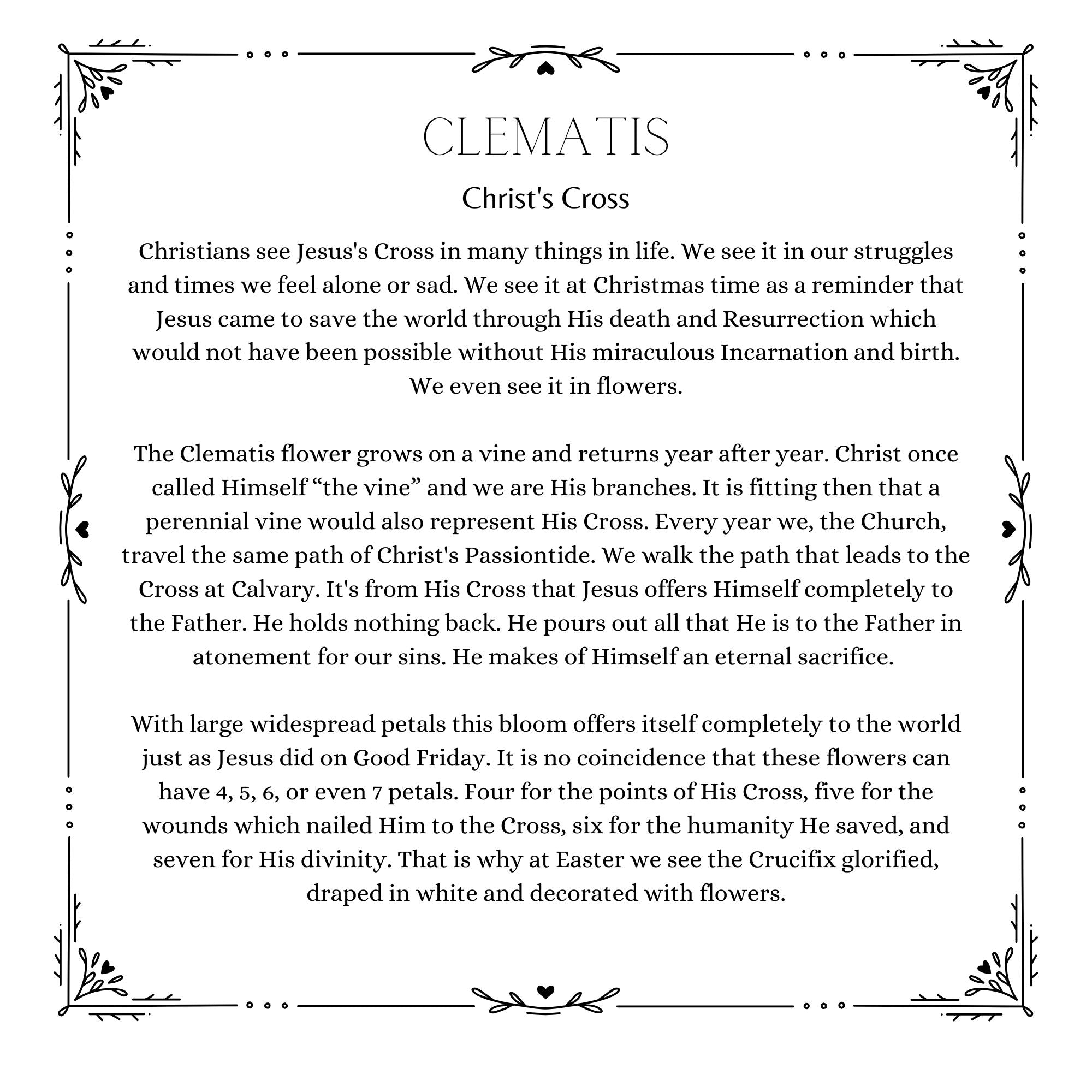 A Garden for Jesus (Parent-Child Reader)