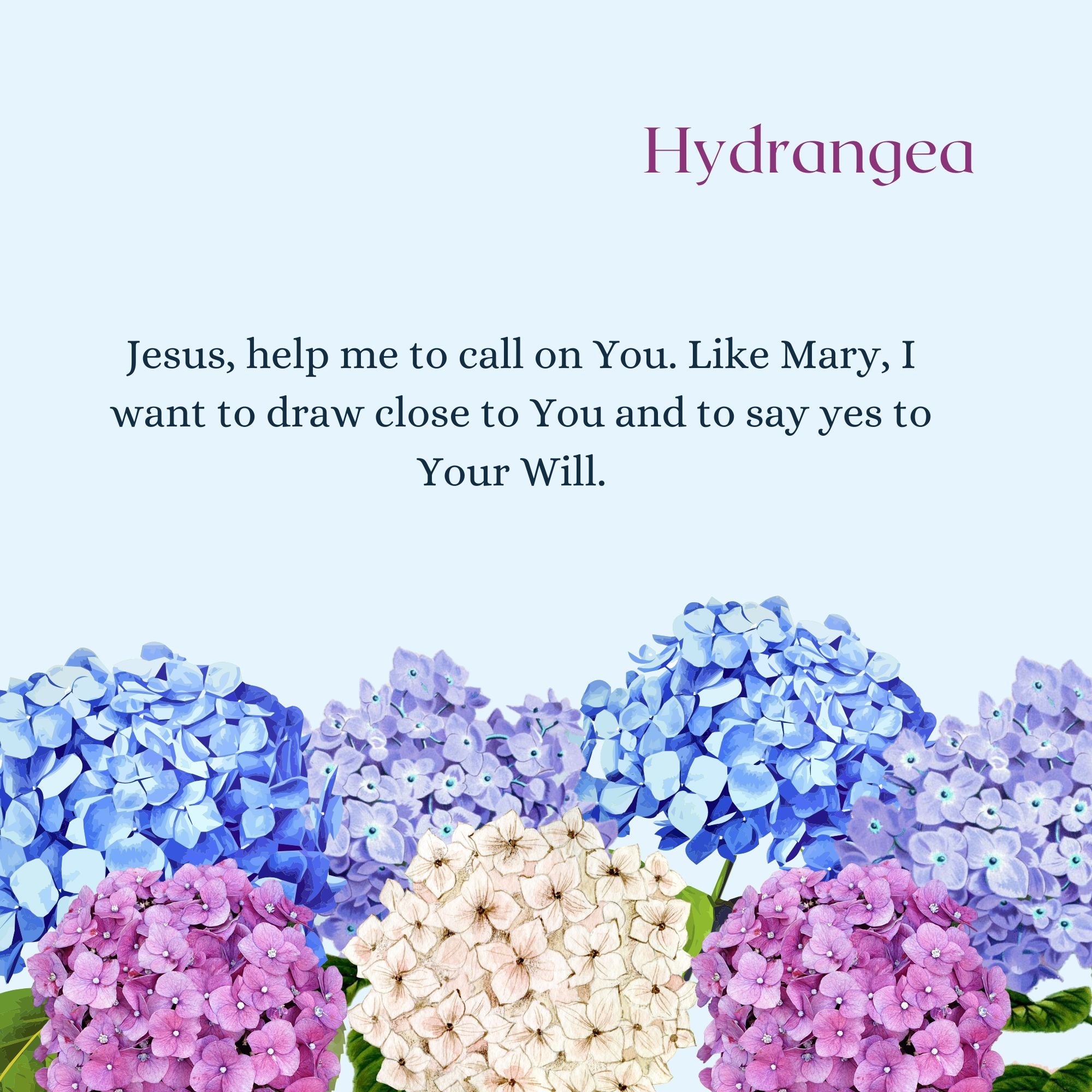 Our Lady's Garden: A Parent-Child Reader