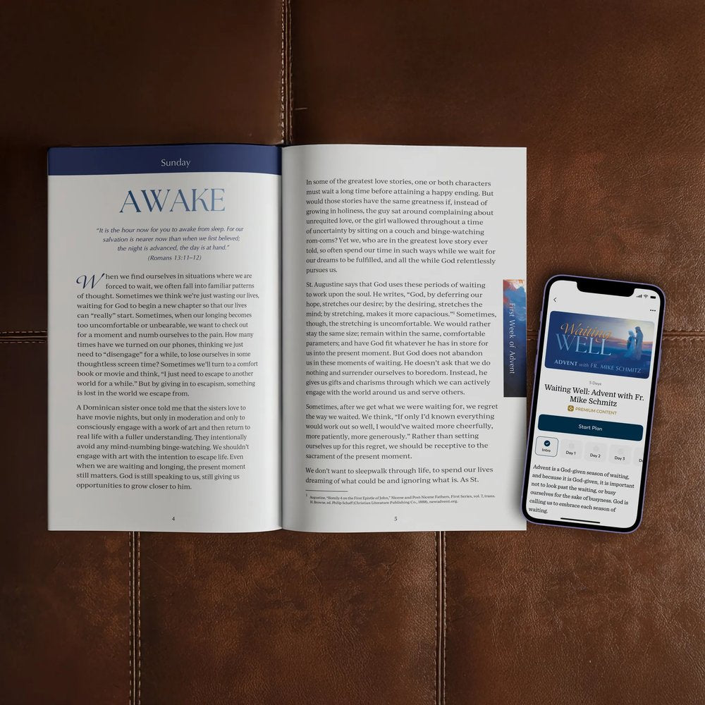 Waiting Well: Advent with Fr. Mike Schmitz, A Daily Prayer Journal