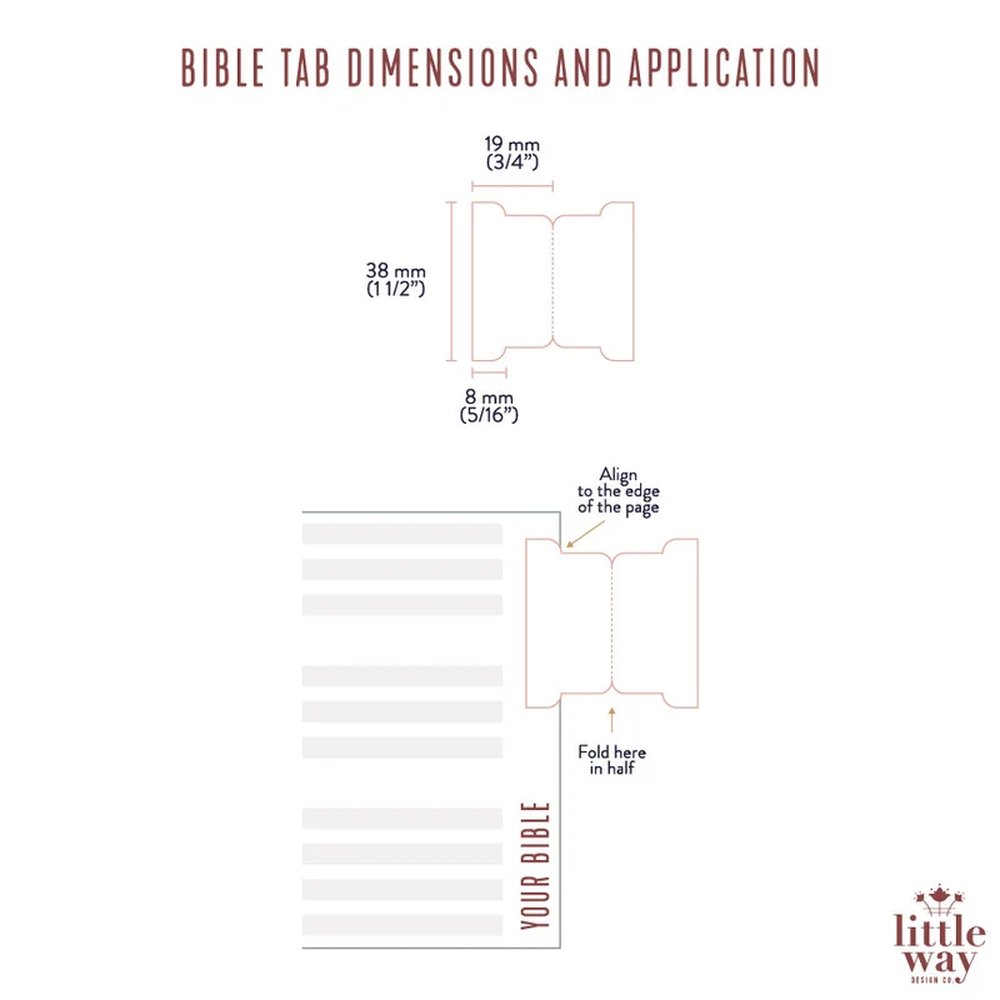 Ignatius Study Catholic Bible Tabs