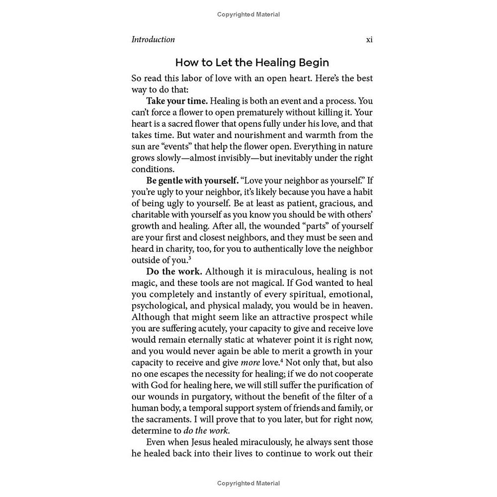 Love Heals: A Biblical Plan to Restore Our Emotions, Memories, Souls, and Bodies