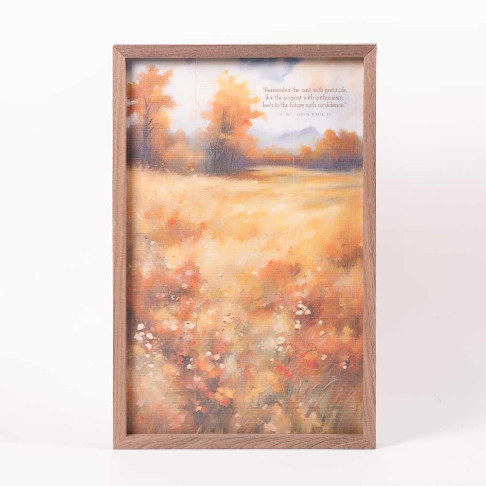 St. Pope John Paul II Gratitude Enthusiasm Confidence Quote Framed Art - 10" x 16"