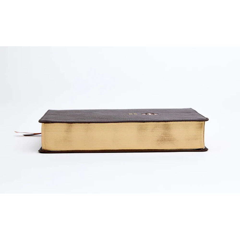 NRSV Catholic Journaling Bible - Brown Leathersoft