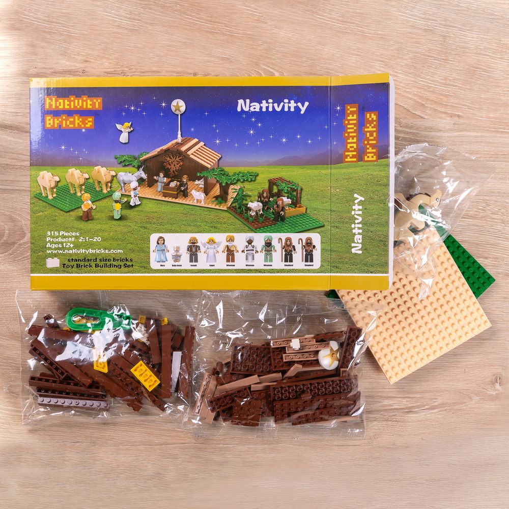 Building Bricks Nativity Play Set for Kids