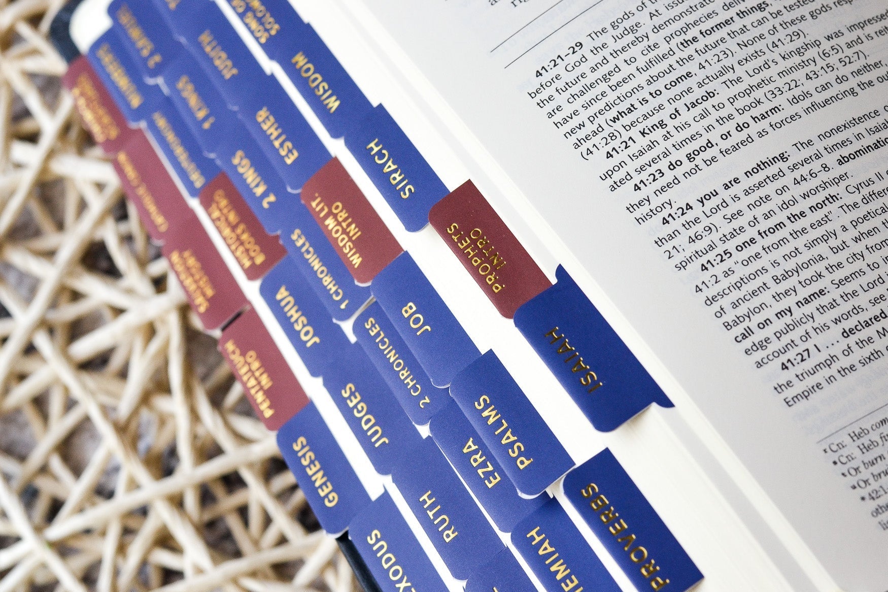 Ignatius Study Catholic Bible Tabs