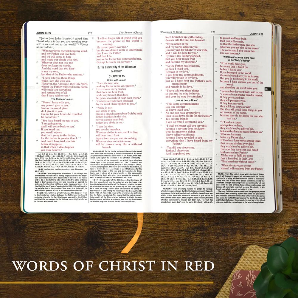 St. Joseph New Catholic Bible for Youth