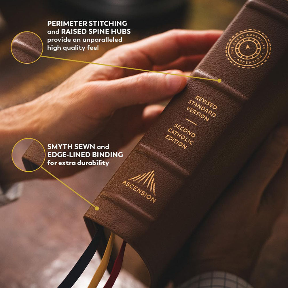The Great Adventure Bible - Premium Leather Edition | The Catholic