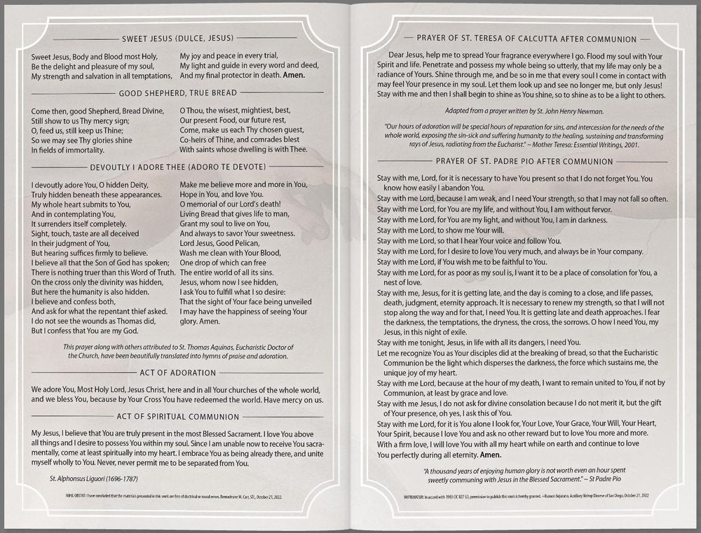 Prayers for Eucharistic Revival Large Folded Prayer Card - Multiple Quantities
