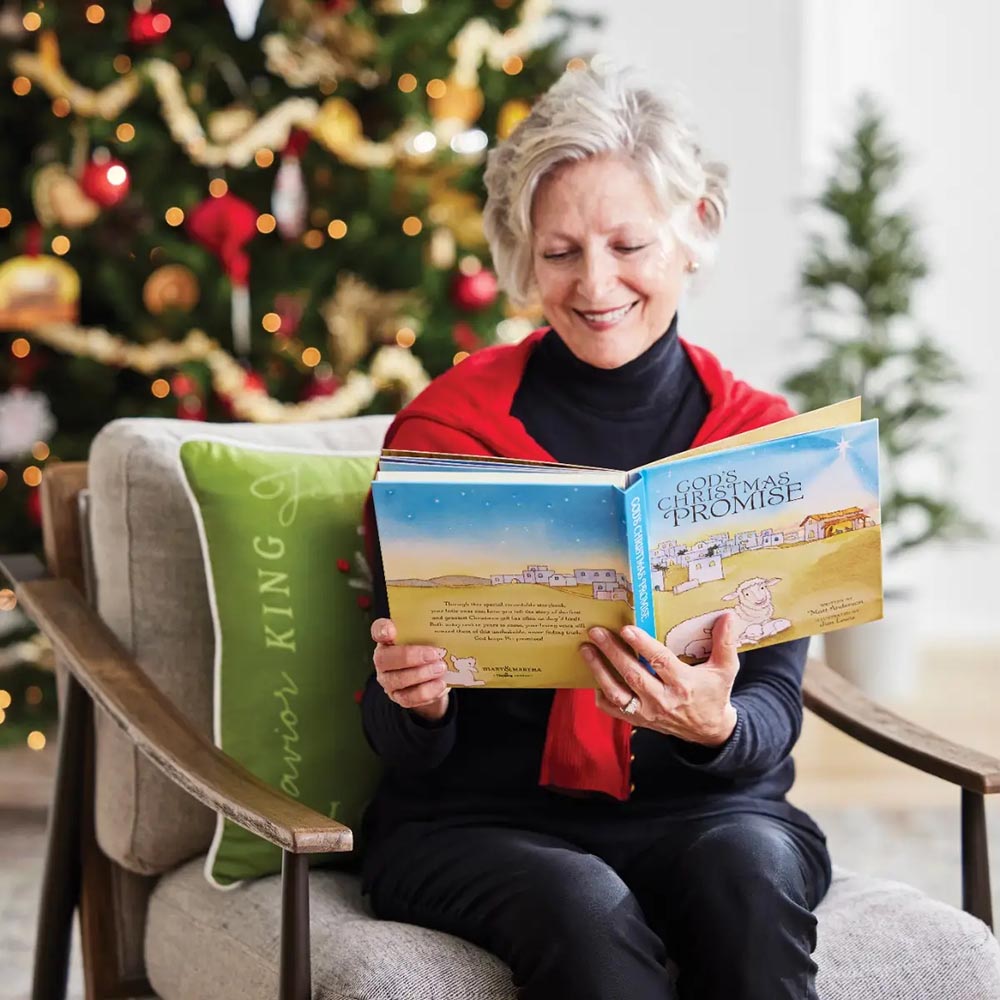 God's Christmas Promise Recordable Story Book