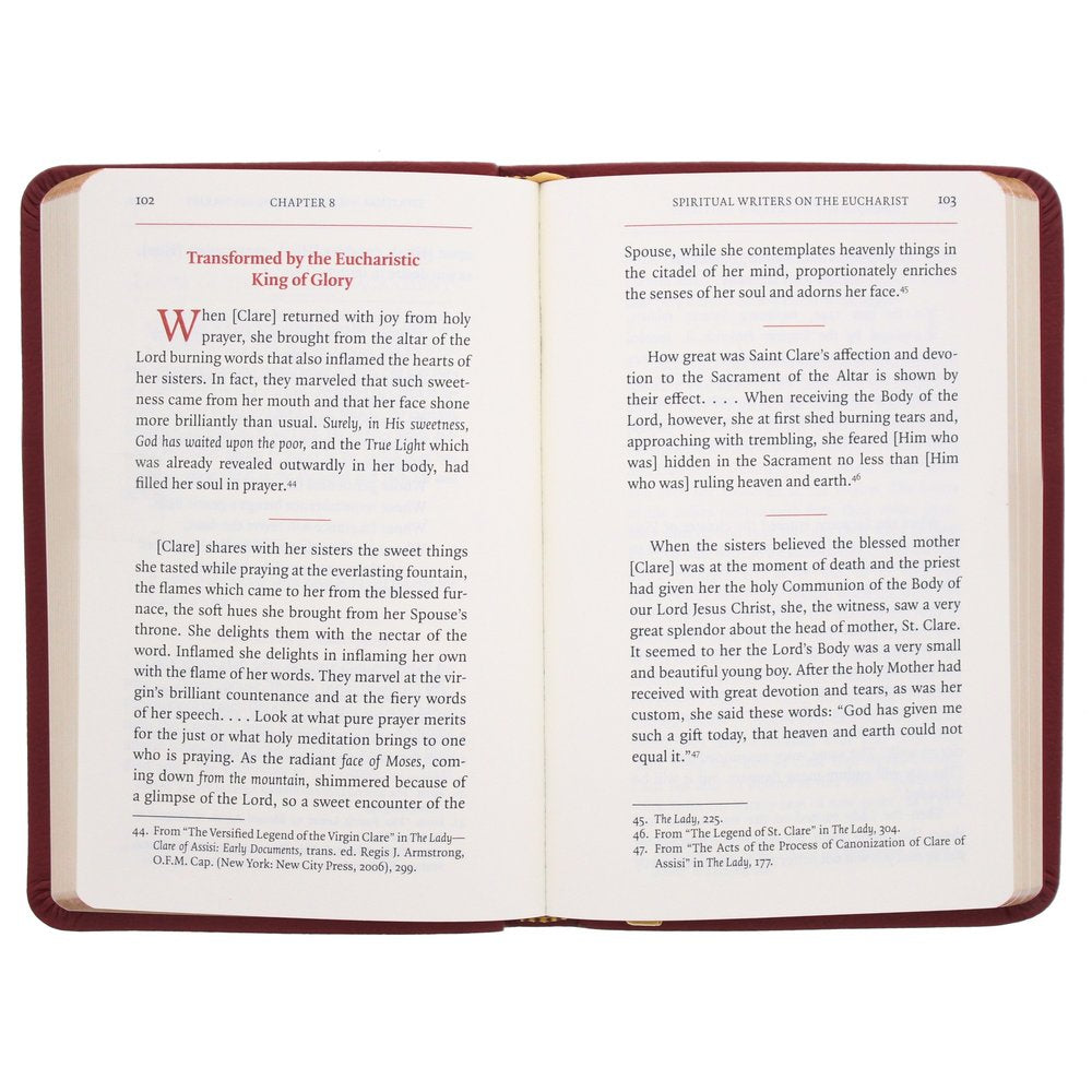 Gray Glass Blessed Sacrament Chaplet & Manual for Eucharistic Adoration (Gift Set)