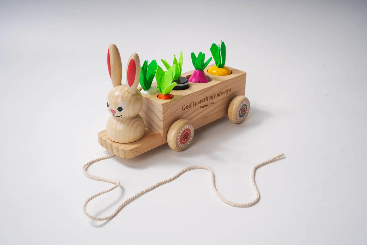 Pull-Along Bunny Wooden Scripture Toy