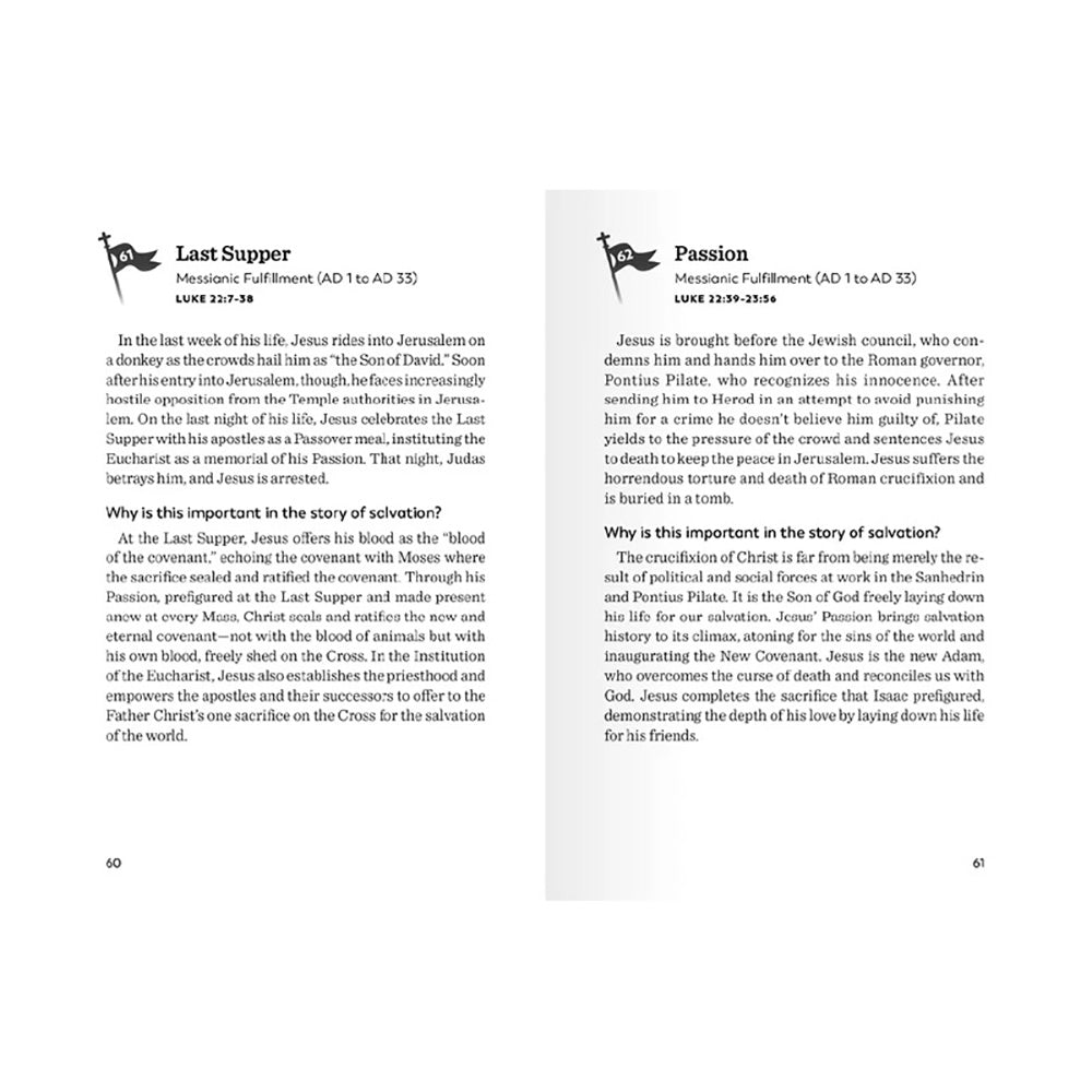 The Story of Salvation: 70 Key Events in Scripture Every Catholic Should Know