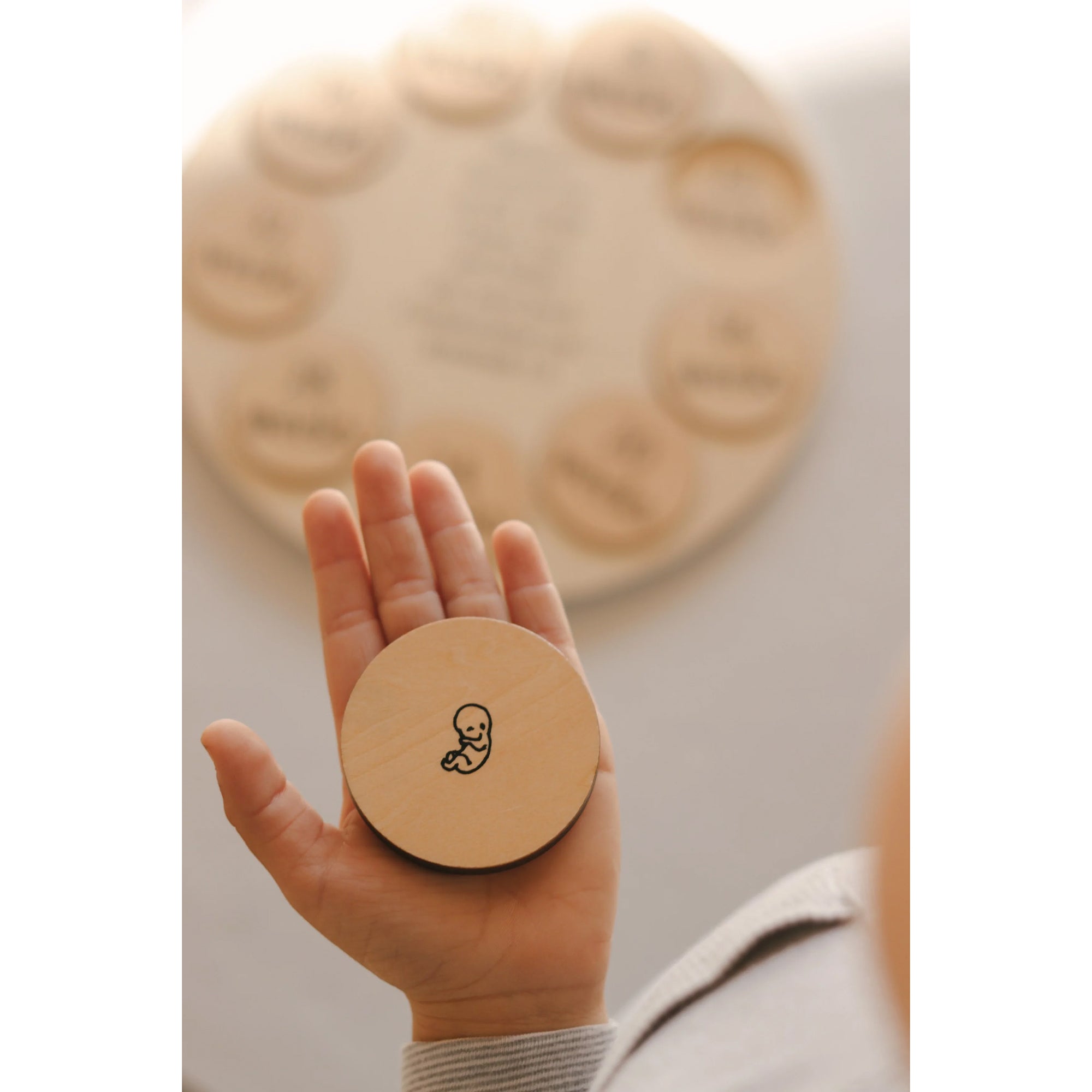 Miracle of Life Wooden Puzzle