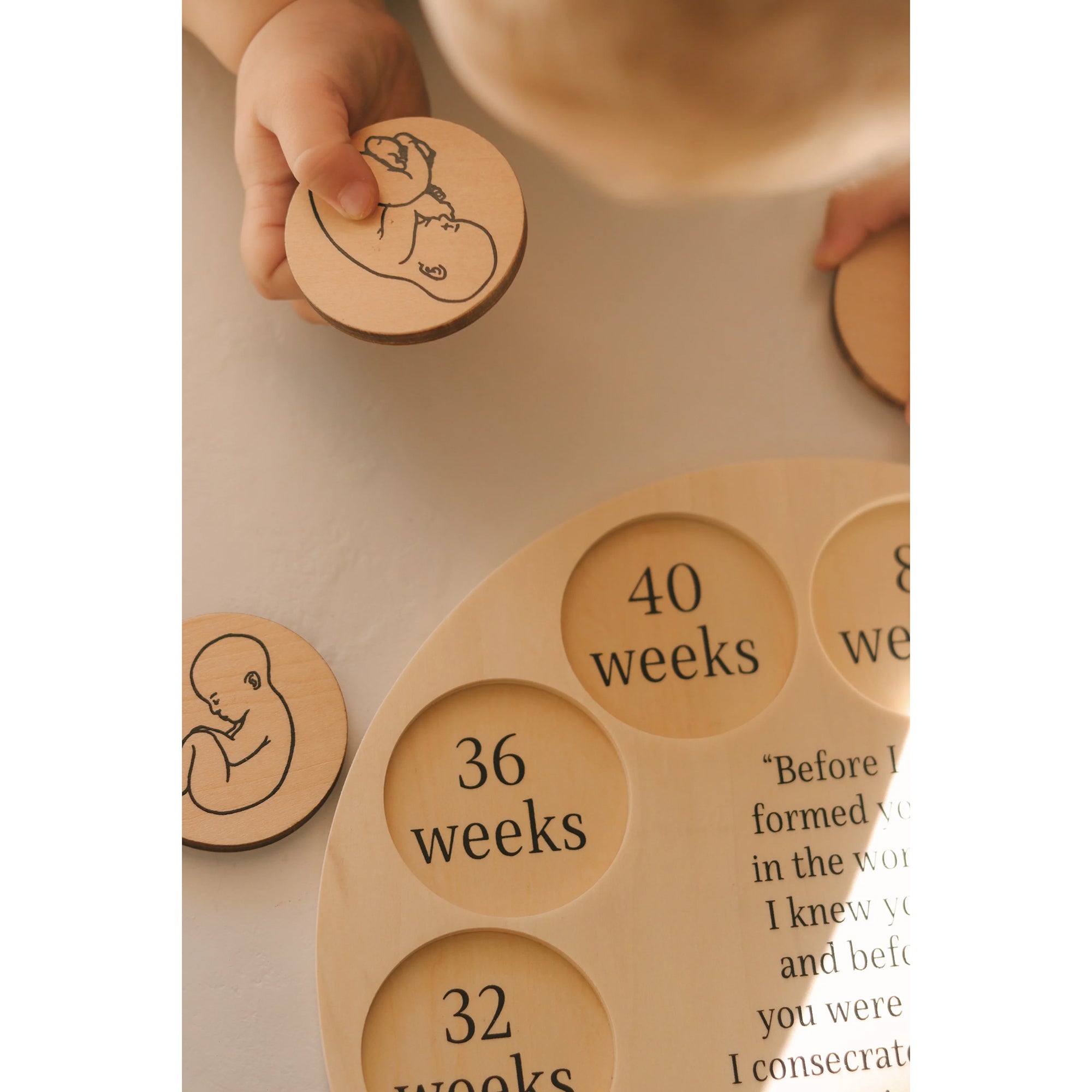 Miracle of Life Wooden Puzzle