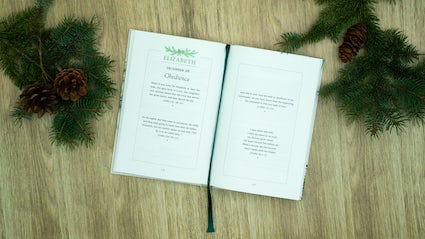 Three Wise Women: 40 Devotions Celebrating Advent with Mary, Elizabeth, and Anna