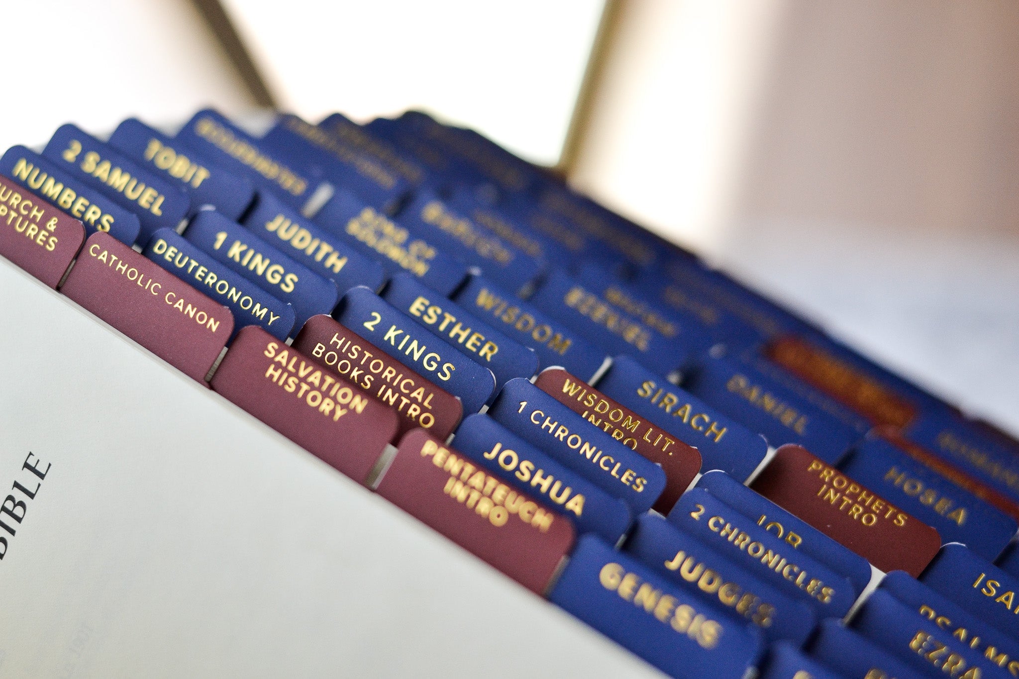 Ignatius Study Catholic Bible Tabs