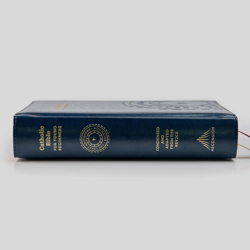 The Great Adventure Catholic Bible for Young Beginners