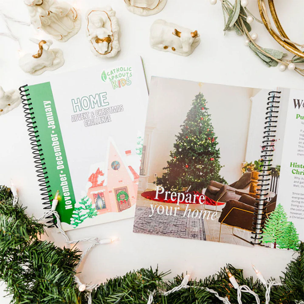 Home Advent & Christmas Challenge