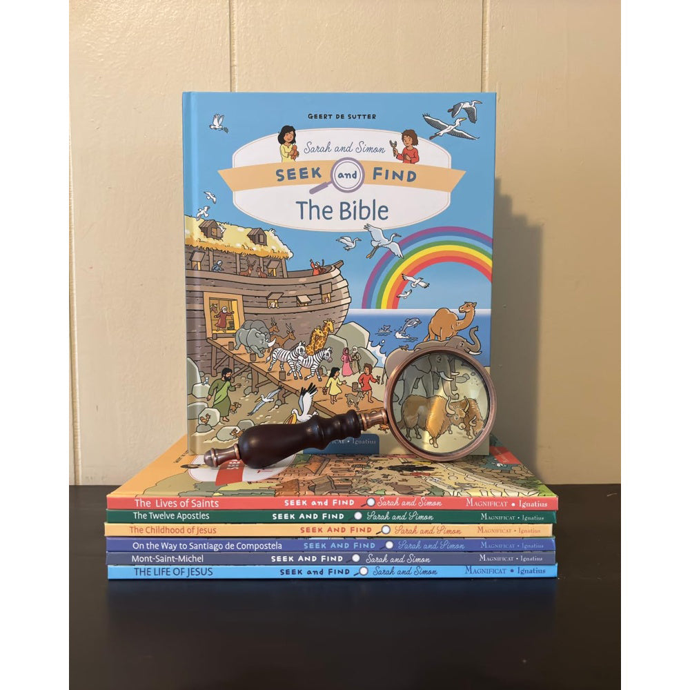 The Bible Seek and Find series: Book 7