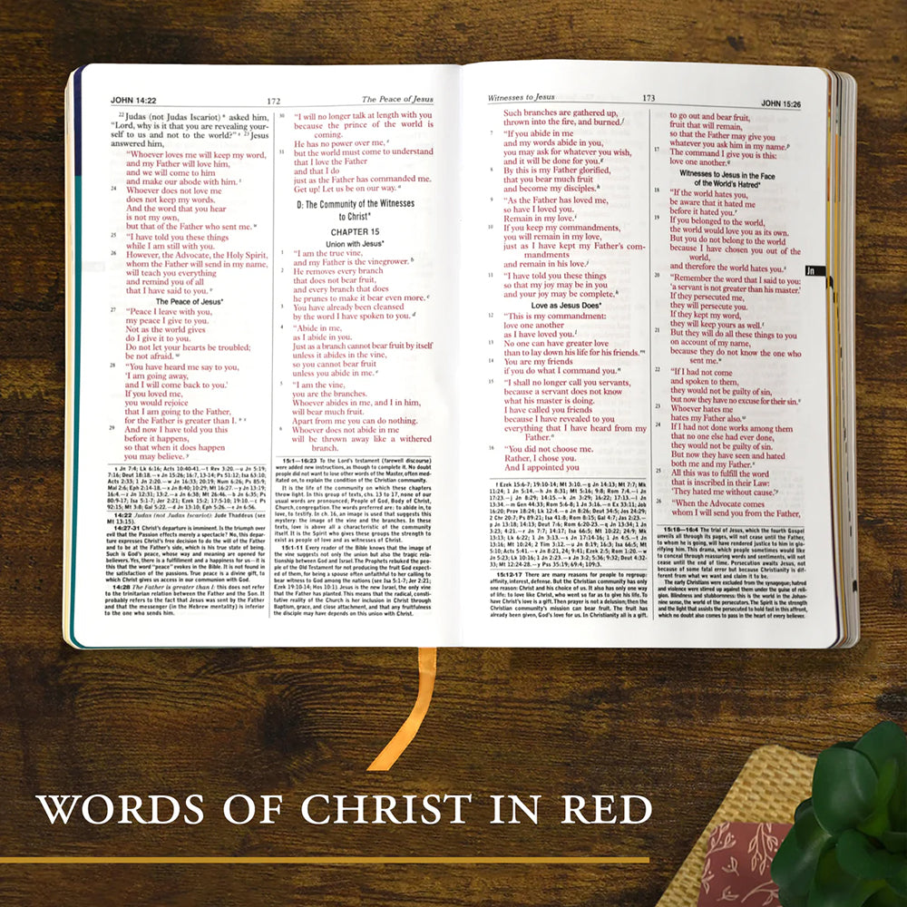 St. Joseph New Catholic Bible for Youth