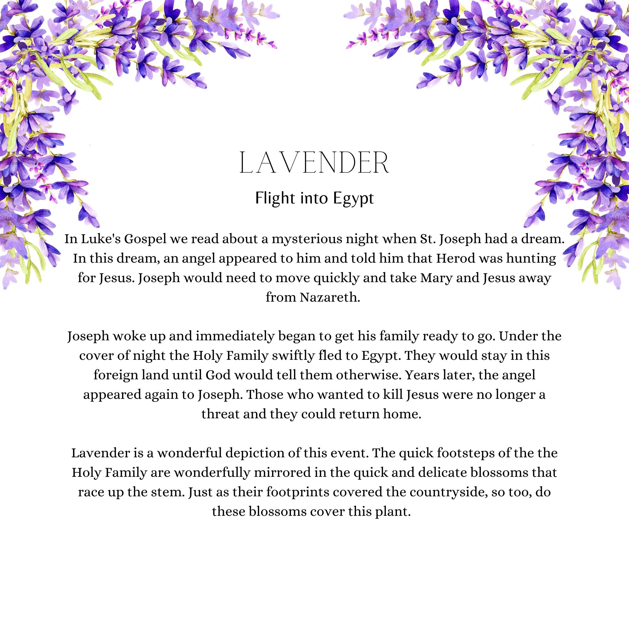 A Garden for Jesus (Parent-Child Reader)