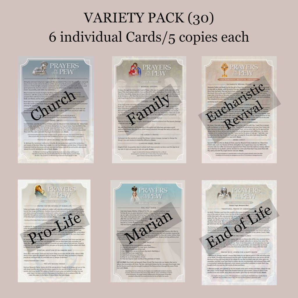 Variety pack of religious prayer cards with different themes, like family or pro-life; printed on white cardstock with light-colored borders.