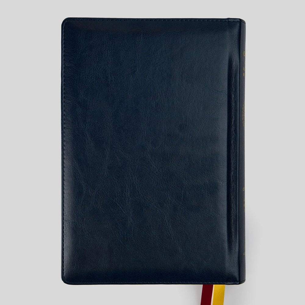 The Great Adventure Catholic Bible for Young Beginners