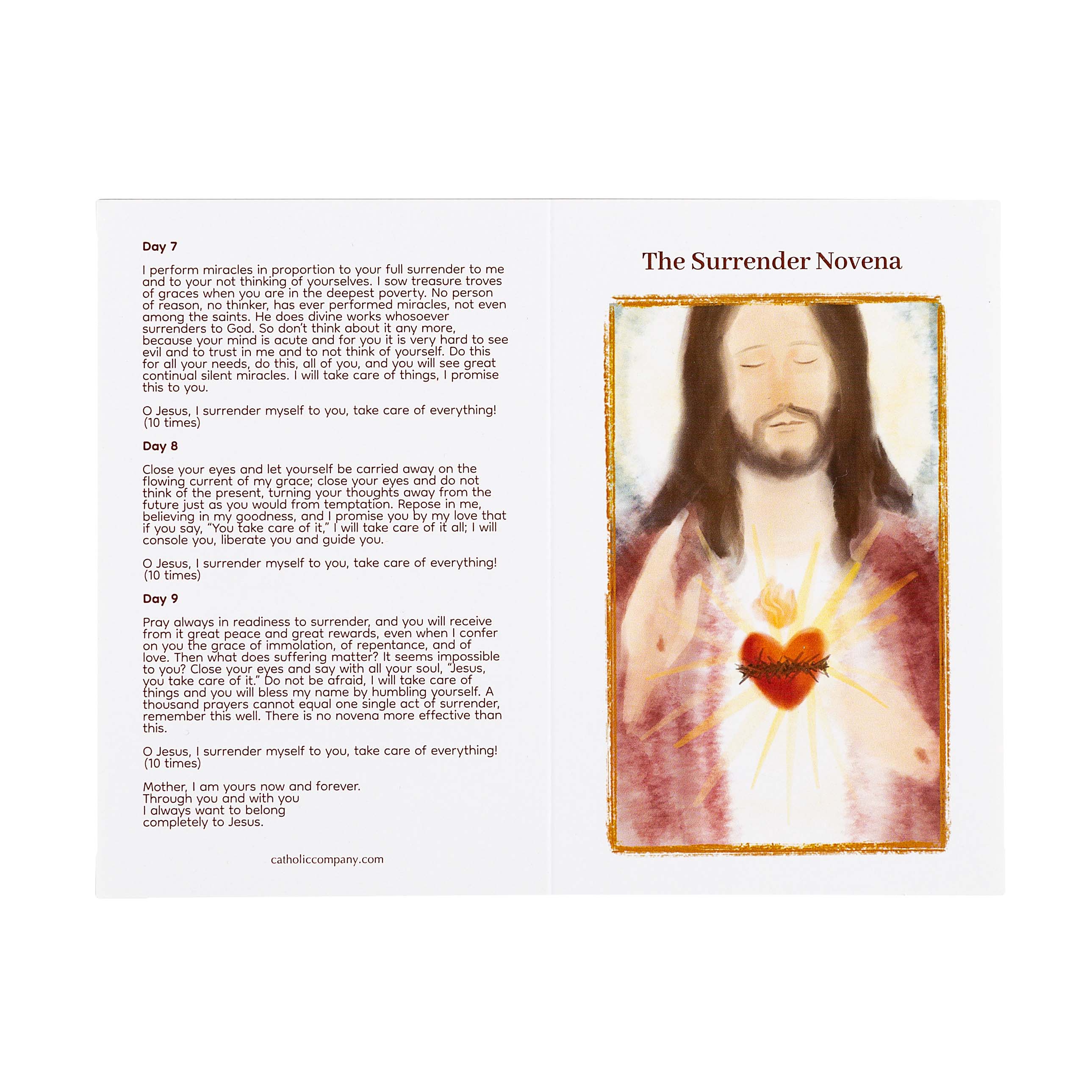 Surrender Novena Prayer Card