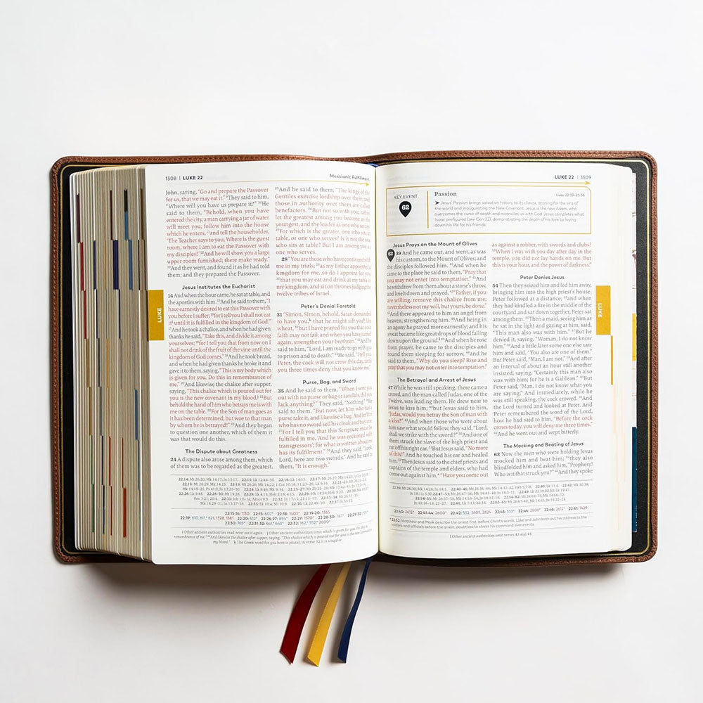 The Great Adventure Bible - Premium Leather Edition | The Catholic