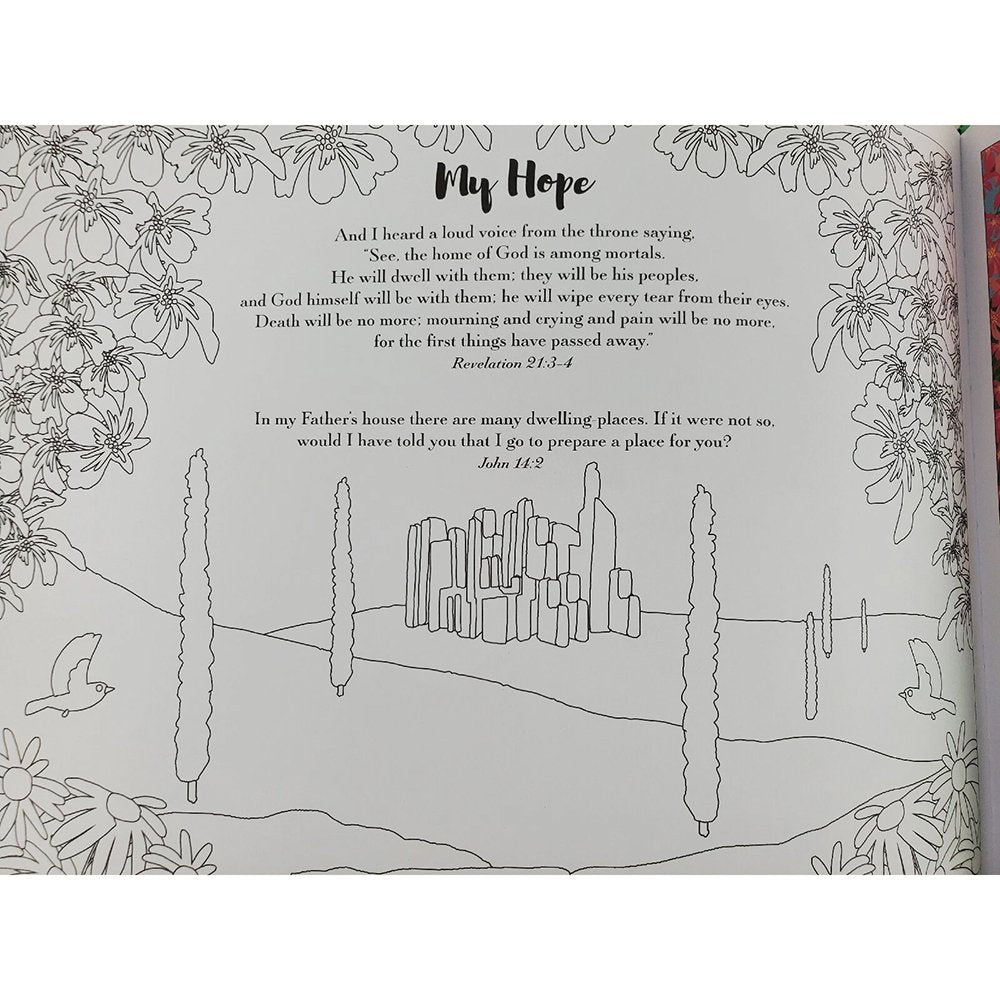 God's Wonderful Word: A Transfer Sticker and Coloring Book