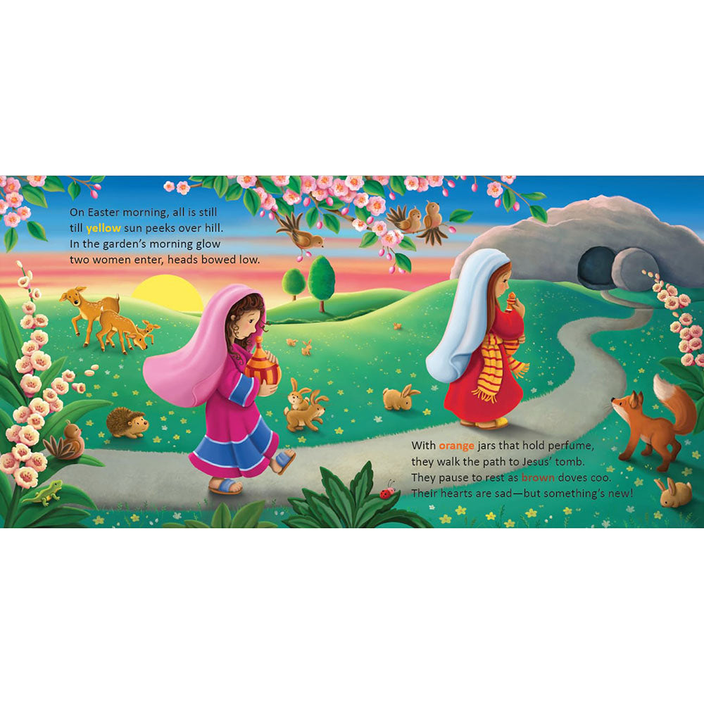 Happy Easter Risen King! An Early Learning Board Book of Colors