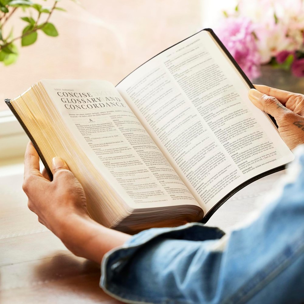 NRSV Catholic Bible - Brown Leathersoft Personal Size