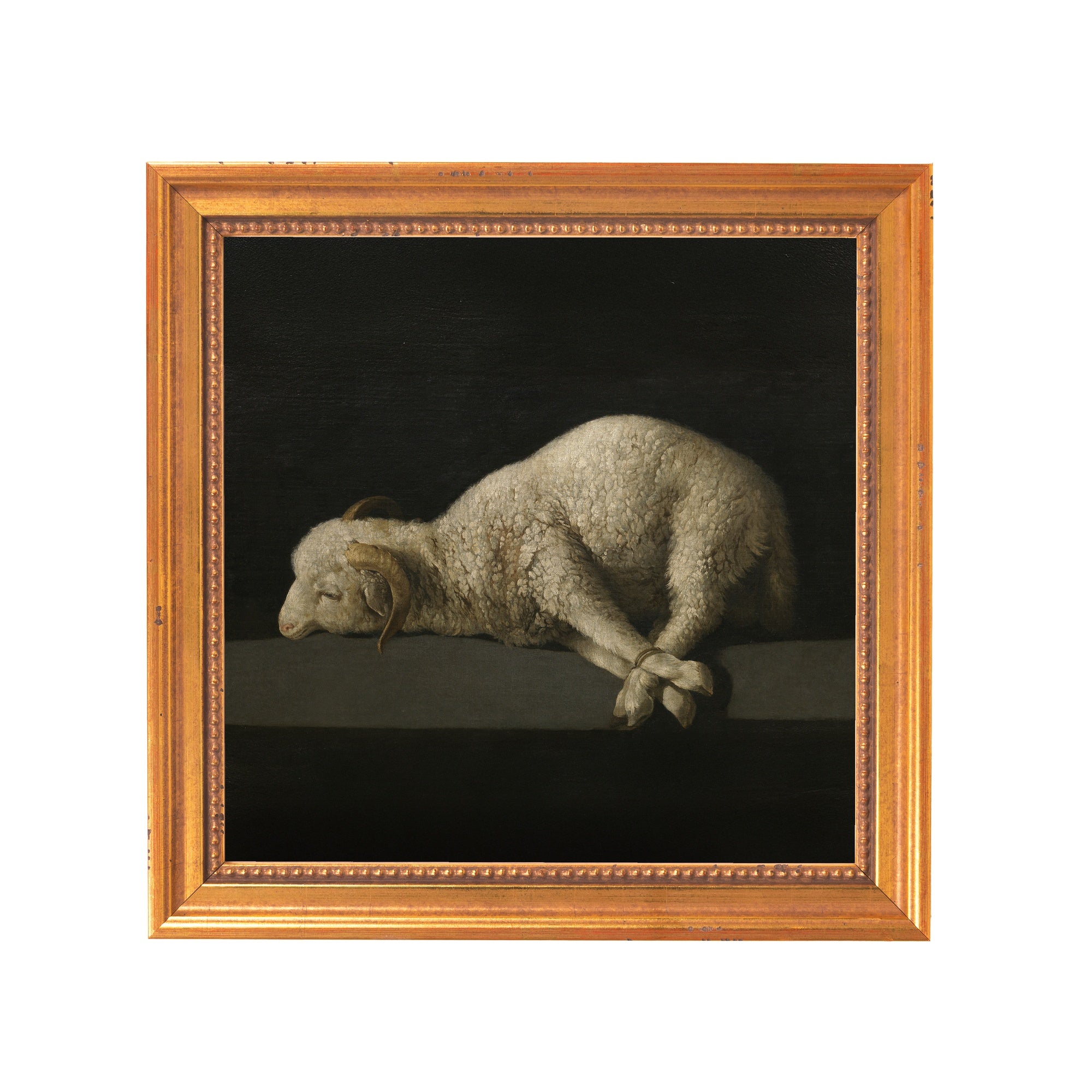 Framed painting of a dead lamb, oil on canvas with gold frame, Renaissance style.