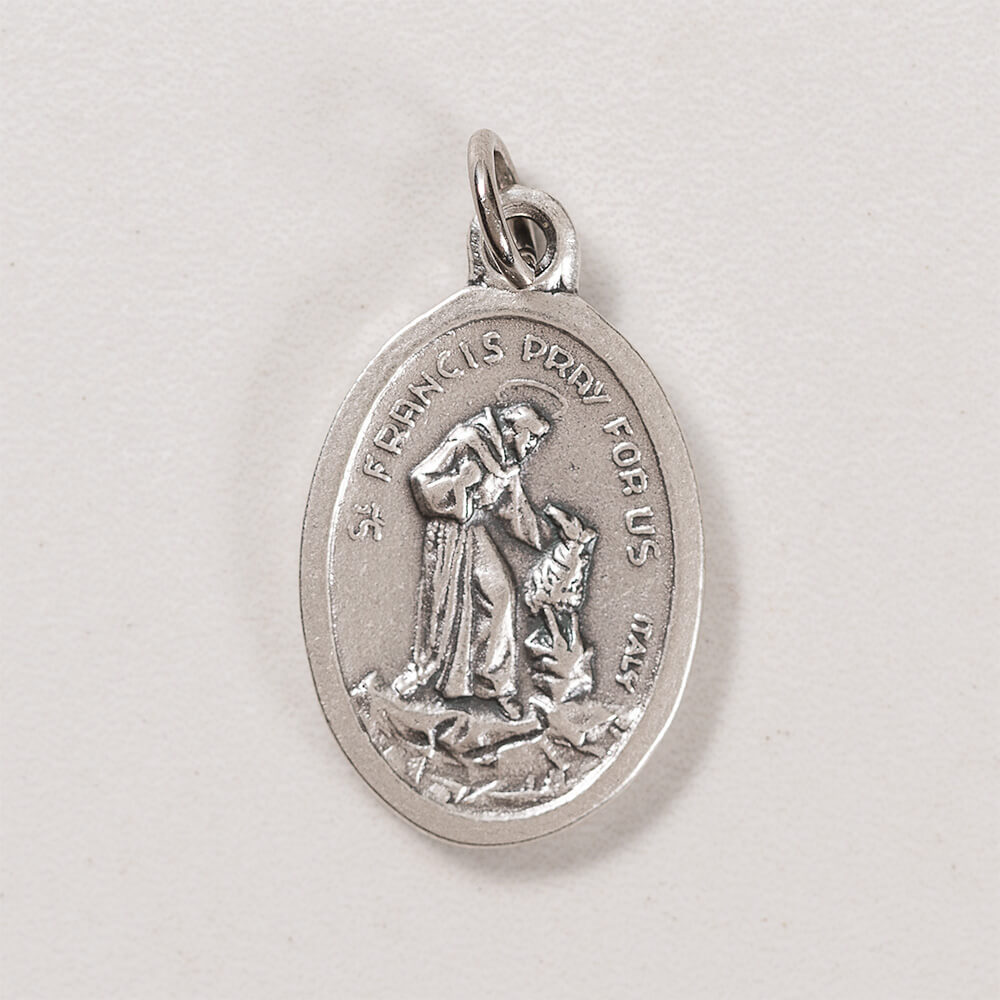 St. Francis Protect My Pet Medal