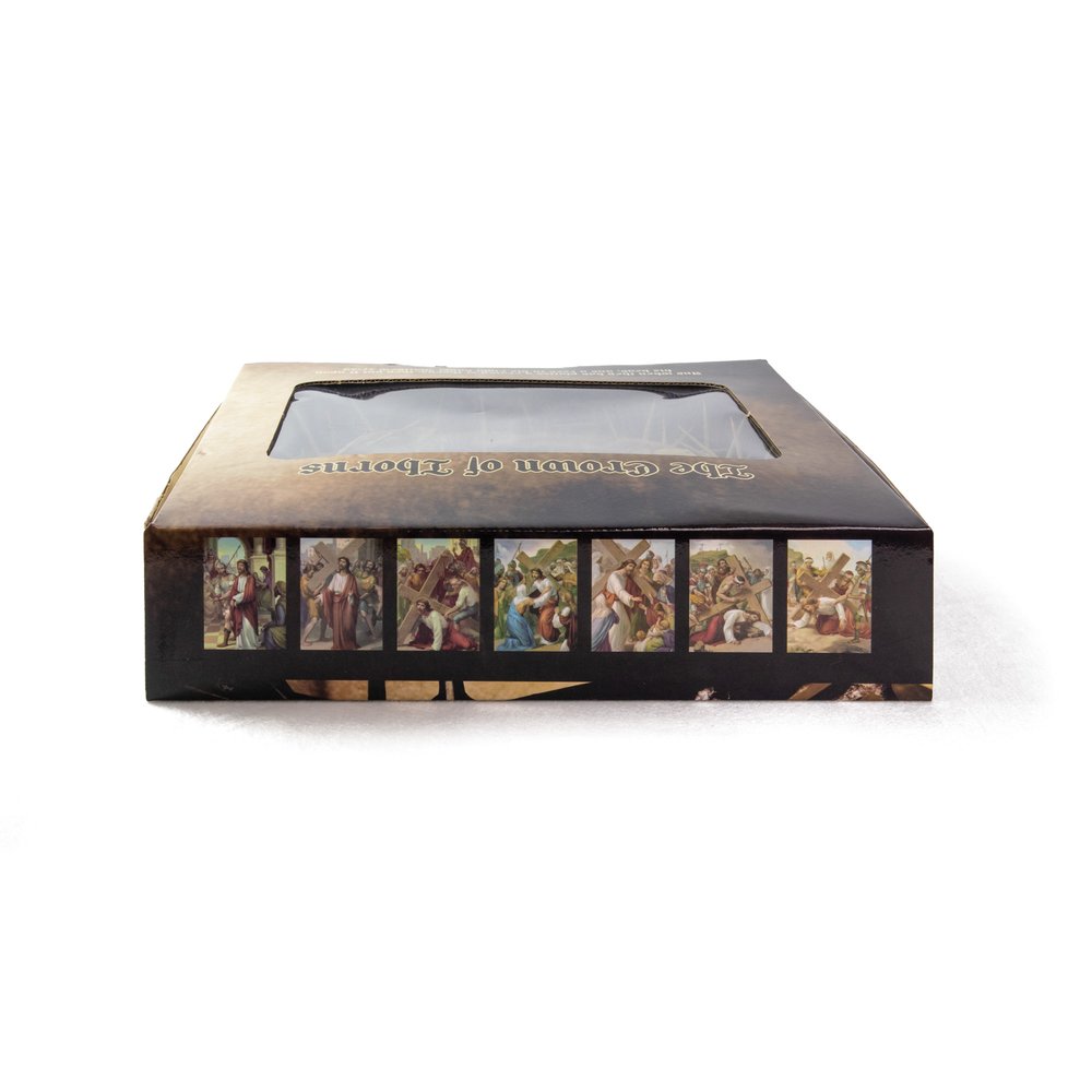 9" Crown of Thorns in Display Box