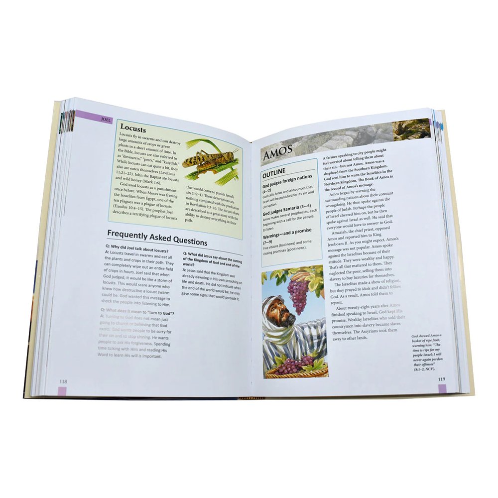 St. Joseph Bible Handbook