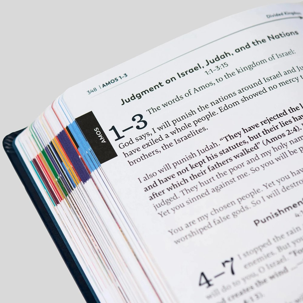 The Great Adventure Catholic Bible for Young Beginners