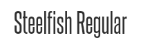 Preview of the font Steelfish regular
